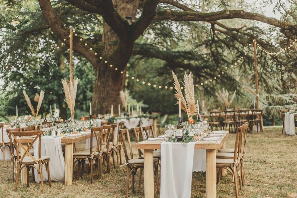 Décoration de mariage élégante et écologique avec fleurs séchées et lumière naturelle